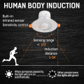 L&#39;inductiom du corps humain a conduit downlight